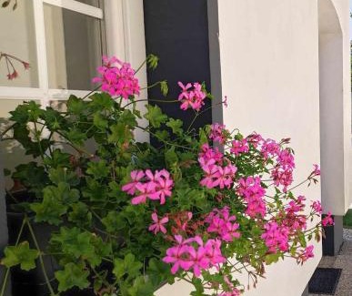 Fertod Appartement | Rókafalvi Vendégház