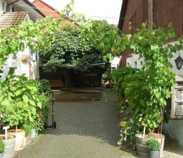 Trasadingen Maison | Rüedi - WeinFassHotel