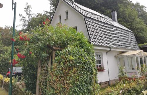 Bergen auf Ruegen Appartement | Rügen Fewo 91 Buchenwinkel
