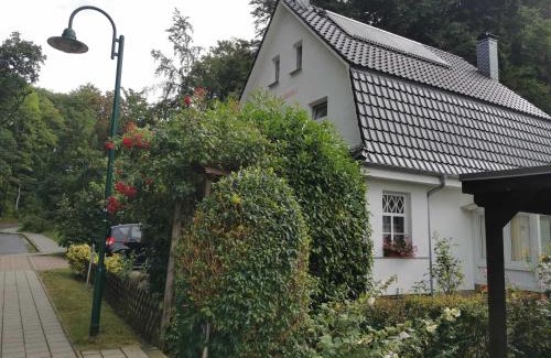 Bergen auf Ruegen Appartement | Rügen Fewo 91 Buchenwinkel