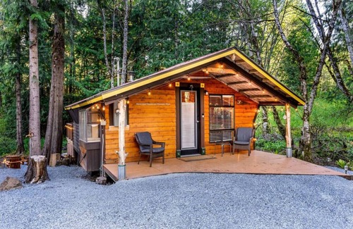 Paradise Estates Cabine | R&R Creekside Cabin -Hot Tub, AC, near Mt Rainier! Ashford, WA