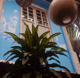 Boracay Island Maison | Rabbit Hole Villa
