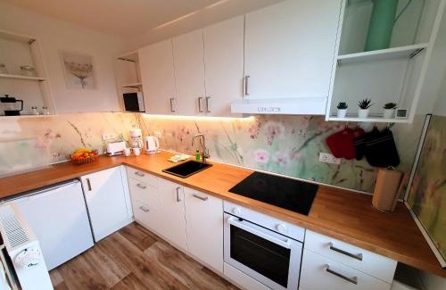 Schwerin Appartement | radfreundliches Wohlfühl-Apartment mit Terrasse und Parkplatz - FeWo Woody
