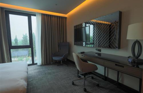 Arifiye Hôtel | Radisson Blu Hotel, Sakarya