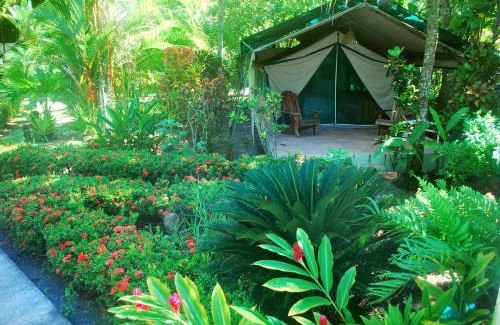 Savegre Lit Et Petit-Déjeuner | Rafiki Beach Camp
