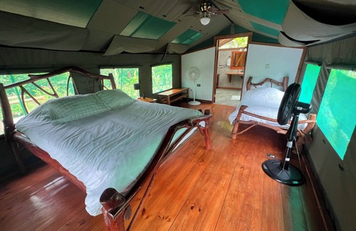 Rio Nuevo Hôtel | Rafiki Safari Lodge
