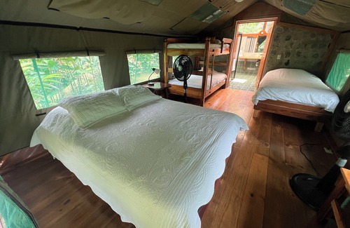 Rio Nuevo Hôtel | Rafiki Safari Lodge