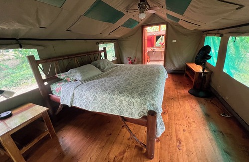 Rio Nuevo Hôtel | Rafiki Safari Lodge