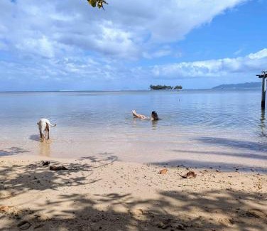 Teahupoo Maison | RAIATEA - The BEACH HOUSE - plage sur le lagon !