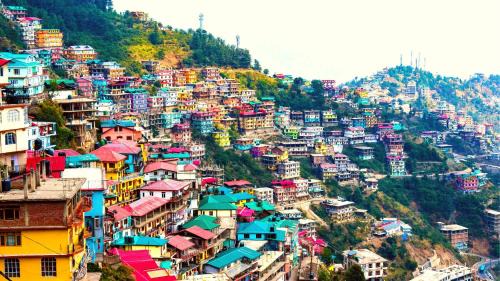 Shoghi Hôtel | Raikot Resort