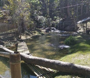 Ringlet Cabine | Rain Forest Inn