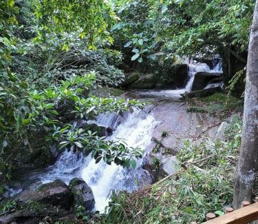 Ringlet Cabine | Rain Forest Inn