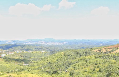 Da Lat Appartement | Rainbow Homestay Cầu Đất