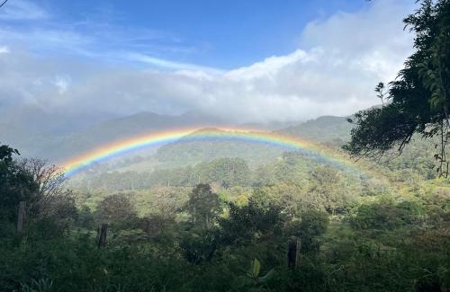 Los Naranjos Maison | Rainbow Iris
