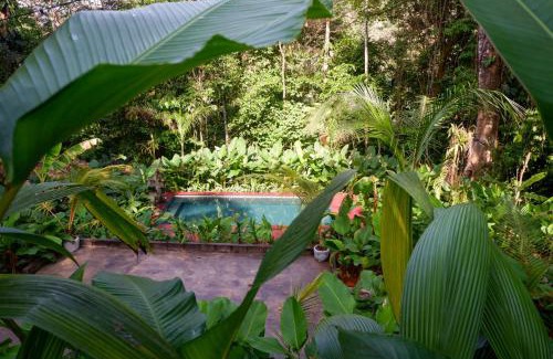Palma Quemada Cabine | Rainbow Lodge Costa Rica
