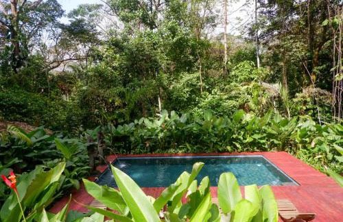 Palma Quemada Cabine | Rainbow Lodge Costa Rica