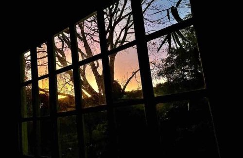 Escazu Appartement | Rainforest Cabin in Escazu