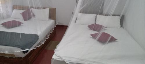 Kotapola Hôtel | Rainforest Holiday Inn