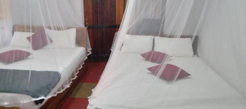 Kotapola Hôtel | Rainforest Holiday Inn