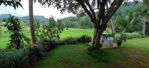Kotapola Hôtel | Rainforest Nest