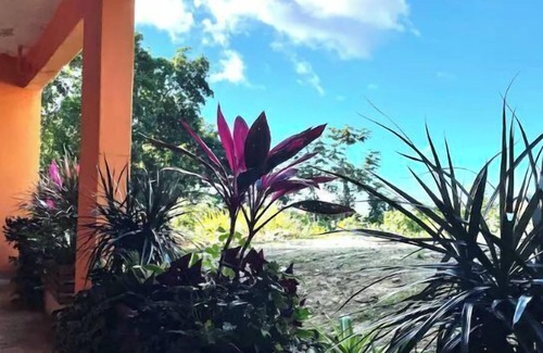 Guzman Arriba Appartement | Rainforest Retreat between mountains and sea