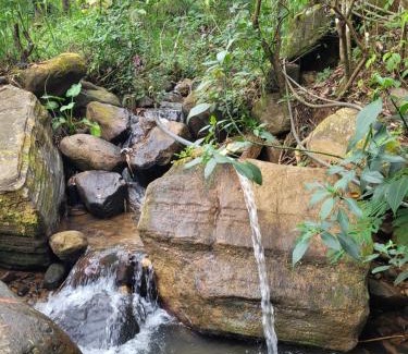 Katukitula Station Balnéaire | Ramboda Jungle Resorts