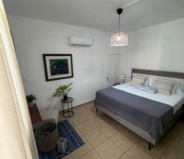 Maleza Baja Appartement | Ramey Loft 3