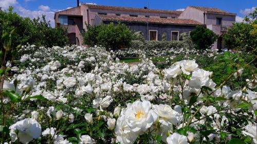 Archi Hôtel | Ramo d'Aria Etna Boutique Hotel