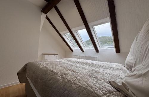 Bad Wildbad Appartement | Ramoni Apartments