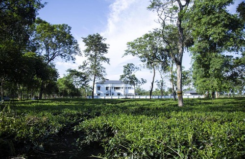 Uttar Kalamati Hôtel | Ramsai Tea & Wildlife Resort