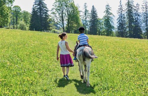 Ramsau am Dachstein Maison | Ramsbergerhof
