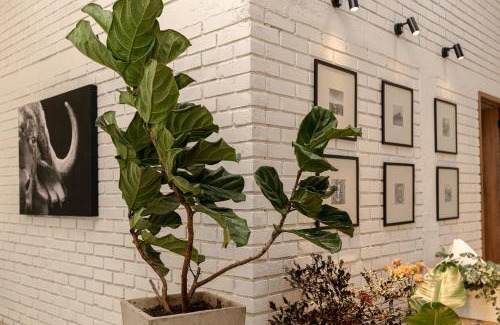 Circasia Maison | Rancho El Rocio