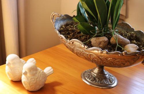 Robertson Maison | Randrivier