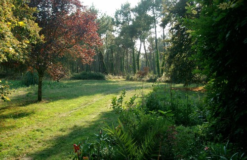 Sos Maison | Maison forestière (120 m2) en pleine nature dans une grande clairière au bord du lac, Gascogne