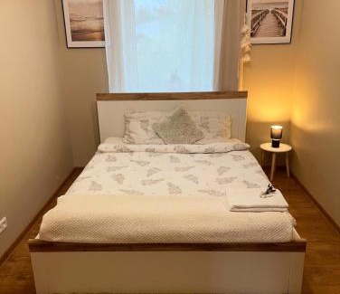 Idena Maison | Rasiņas