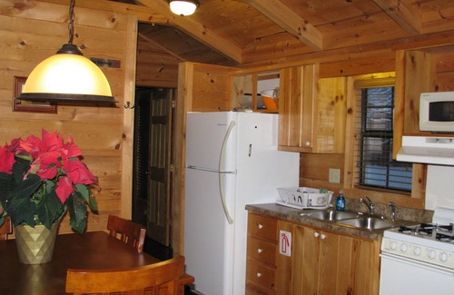 Altamont Cabine | Cabine en rondins 'Real Log Cabin' 1 chambre romantique et confortable avec bain à remous, cheminée + (4 personnes)