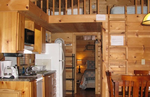 Altamont Cabine | Cozy 1BR 'Real Log Cabin' avec bain à remous sur la rivière Linville (6 personnes)