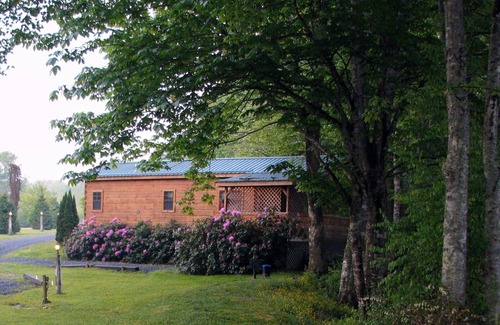 Altamont Cabine | Cozy 1BR 'Real Log Cabin' avec bain à remous sur la rivière Linville (6 personnes)