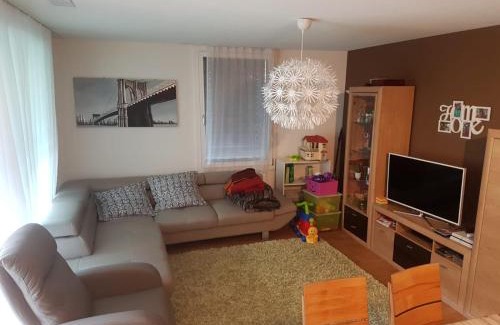 Realp Appartement | Realp-Andermatt 3,5 locali giardino privato In mezzo la natura, spettacolare per appassionati montanbike, pesca ecc In inverno fai sci di fondo dal giardino e con il treno davanti a casa si raggiunge in 5min il comprensorio scistico di Andermatt