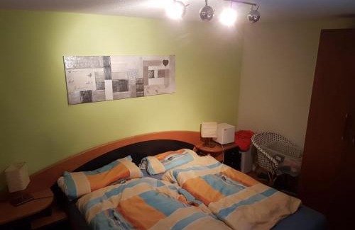 Realp Appartement | Realp-Andermatt 3,5 locali giardino privato In mezzo la natura, spettacolare per appassionati montanbike, pesca ecc In inverno fai sci di fondo dal giardino e con il treno davanti a casa si raggiunge in 5min il comprensorio scistico di Andermatt