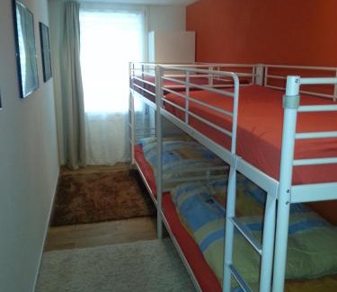 Realp Appartement | Realp-Andermatt 3,5 locali giardino privato In mezzo la natura, spettacolare per appassionati montanbike, pesca ecc In inverno fai sci di fondo dal giardino e con il treno davanti a casa si raggiunge in 5min il comprensorio scistico di Andermatt