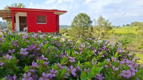 Morro Redondo Maison | Recanto Bello Morro
