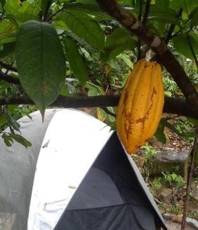 Jardim Sao Miguel Maison | Recanto do Leâo - Camping