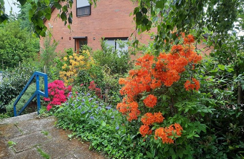 Hannoversch Munden Appartement | Recovery from stress