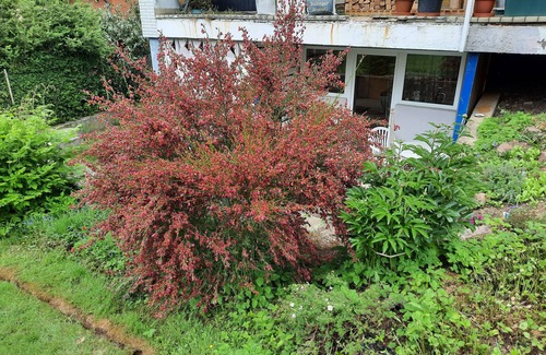 Hannoversch Munden Appartement | Recovery from stress