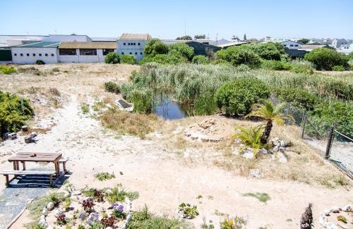 Langebaan Appartement | Red Bishop - Birds, Beach & Beauty