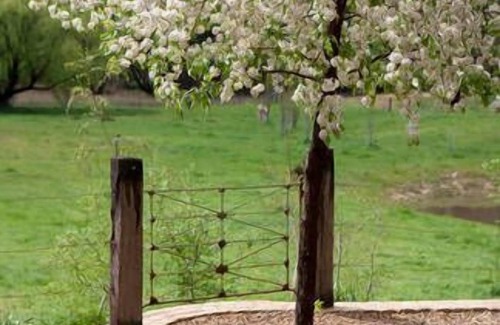 Chewton Maison | Red Brick Barn - situé à Castlemaine