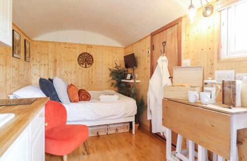Oswestry Maison | Red Kite at Wild Valley Huts