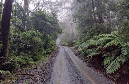 Browns Mountain Maison | Red Rocks Mountain Retreat, Browns Mountain, Kangaroo Valley