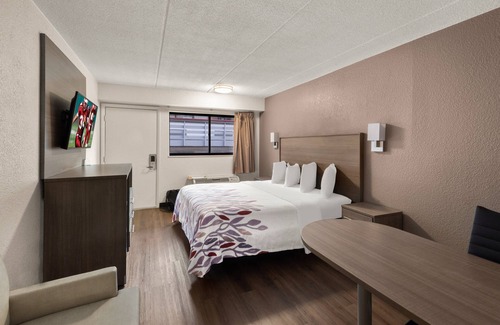 Johnson City Hôtel | Red Roof Inn Binghamton - Johnson City